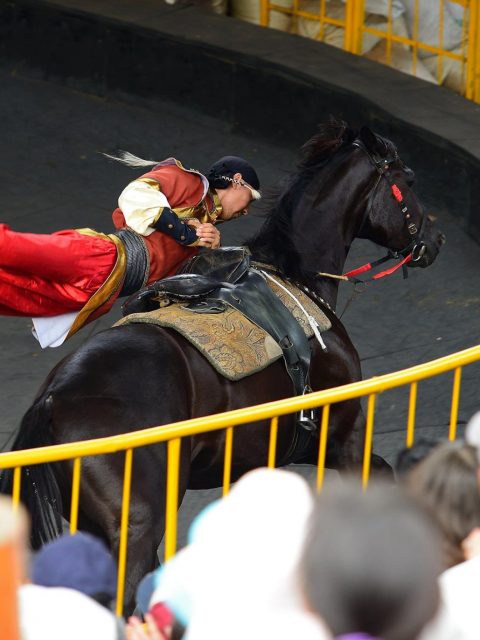 【南投清境農場】來這必看馬術表演！超帥氣~蒙古騎士駿馬上技藝翻騰、賣力演出！