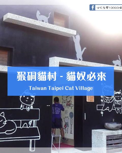 【新北瑞芳】猴硐貓村。貓奴必來的喵天堂！搭火車來趟賞貓一日遊
