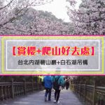 【賞櫻+爬山好去處】台北內湖碧山巖+白石湖吊橋(龍骨吊橋)