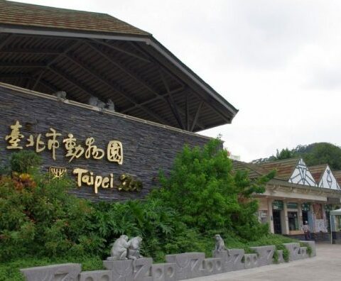 【親子情侶都愛的城市綠洲｜台北市立動物園全攻略】
