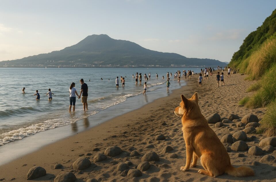 淡水沙崙 海邊風景圖