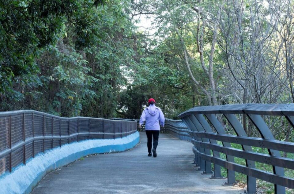 圖:電火圳生態步道。臺中市政府觀光旅遊局