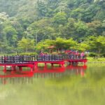 台灣埤塘與水庫散步：從桃園到台南，靜謐水岸的療癒路線